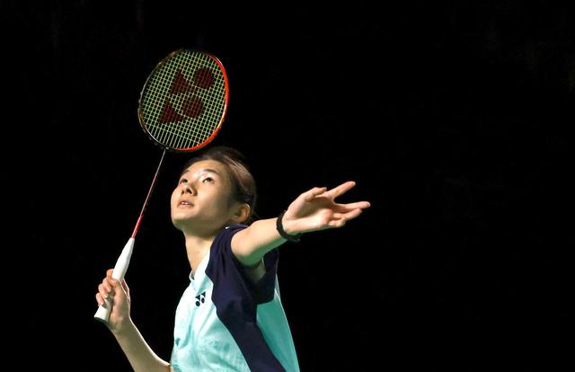 智利独狼 智利独狼